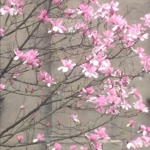 Meet your Posher, Kaylee